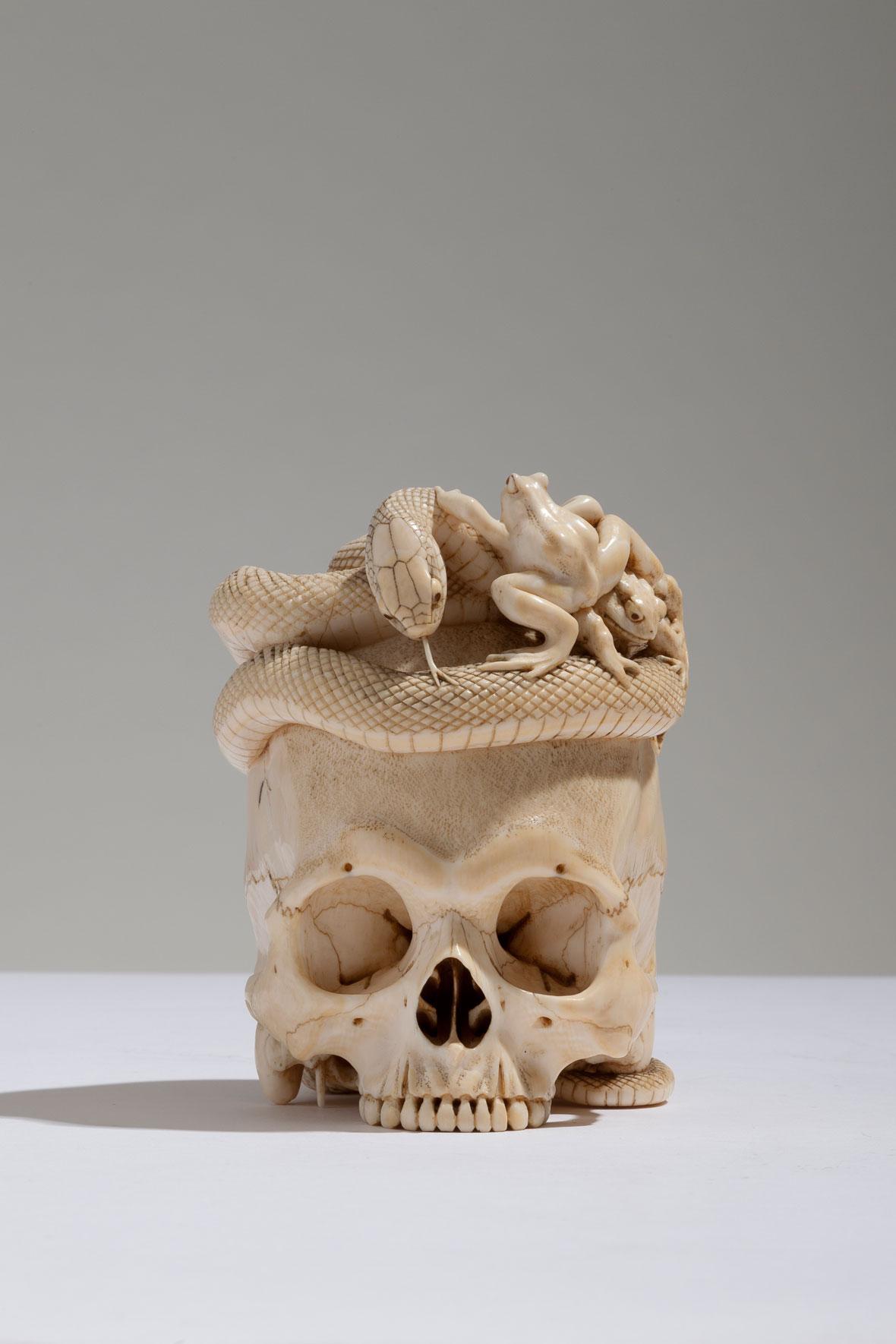 Japanese Ivory Skull with Coiled Snake and Toads